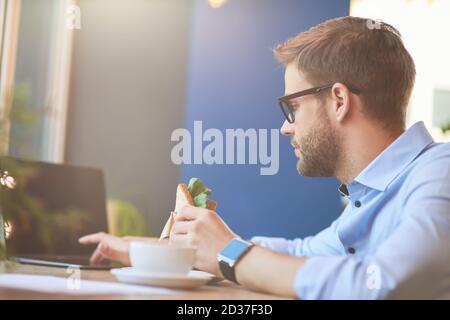 Side view of a young businessman sitting at wooden table in cafe, using laptop and eating fresh sandwich Stock Photo