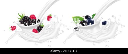 Realistic yogurt splashes with berries vector illustration Stock Vector