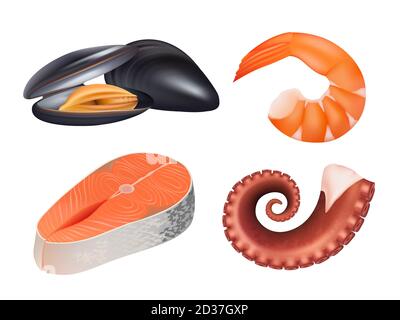 Sea food realistic. Fresh fish meal salmon uncooked natural protein vector pictures of sea ocean food Stock Vector
