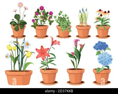 Flowers pot. Nature cartoon vector illustration of flowers and leaves beautiful collection Stock Vector