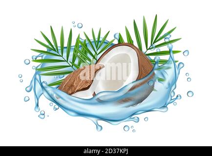 Coconut water vector concept. Realistic coconut, water splashes and palm leaves Stock Vector