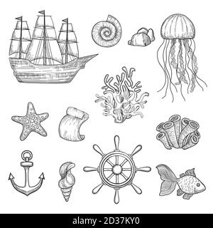 Nautical elements. Ocean fish shells boats ships knot travel marine symbols vector hand drawn collection Stock Vector