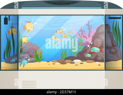 Big aquarium. Fishes and water plants in glass aquarium tank underwater life vector cartoon illustration Stock Vector