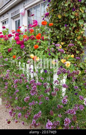 Colorful flowers and white picket fence in front of Judi Rotenberg Studio, an art gallery in Rockport, Massachusetts in Essex County, Cape Ann. Stock Photo