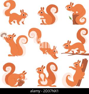 Cartoon squirrel standing Stock Vector Image & Art - Alamy