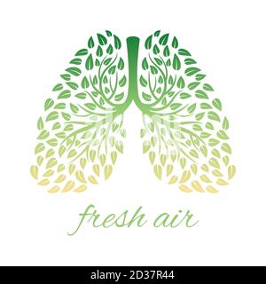 Lungs with foliage. Healthy human lungs with leaves vector concept Stock Vector