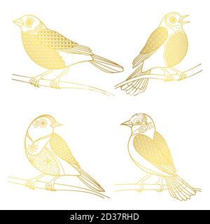 Beautiful golden birds vector isolated on white background. Bird golden, wildlife linear illustration Stock Vector