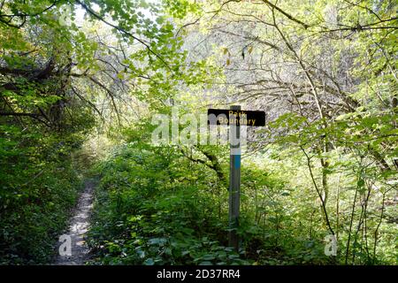 The Bruce Trail hiking path running through a deciduous forest on the edge of Boyne Valley Provincial Park, Ontario, Canada. Stock Photo