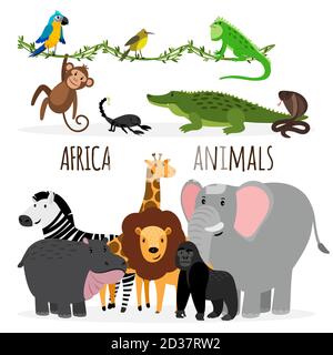 Cartoon exotic Africa animals groups vector isolated on white background Stock Vector