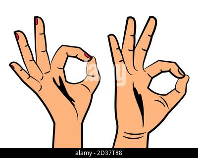 Female and male hands showing OK sign vector illustration Stock Vector