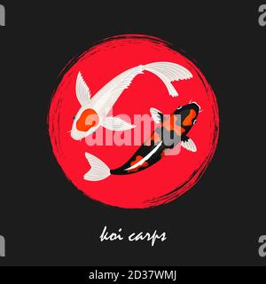 Koi japanese carps vector background. Koi fish banner design. Koi asian carp, fish traditional japan illustration Stock Vector