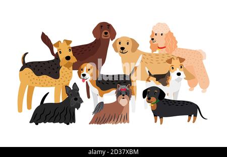 Group of hunting dogs breeds vector illustration. Cartoon character pets isolated on white background Stock Vector