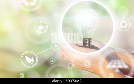 Women's hands holding a light bulb for ecology and renewable energies Stock Photo