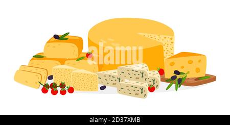 Farm cheese vector. Different cheese types vector illustration Stock Vector