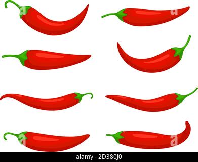 Closeup chilly pepper. Hot red chili peppers, cartoon mexican chilli or chillies illustration, vectors paprika icon signs isolated on white background Stock Vector