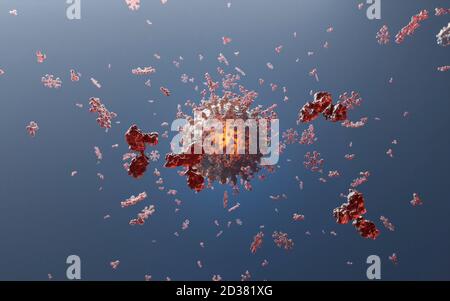 Cluster of human antibodies (igG and igM) attacking a Corona virus (Covid 19). An accurate model based on scientific structural data from the PDB. Stock Photo