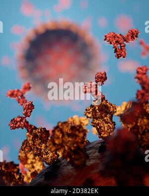 Human antibodies (igG and igM) attacking a Corona virus (SARS-CoV-2, Covid 19). An accurate model based on scientific structural data from the PDB. Stock Photo