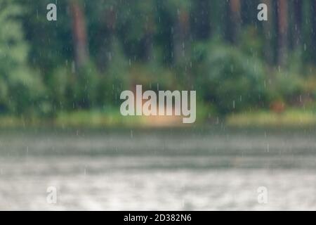 Abstract bokeh background of raindrops falling on water with a soft, blurred green forest shoreline. Stock Photo