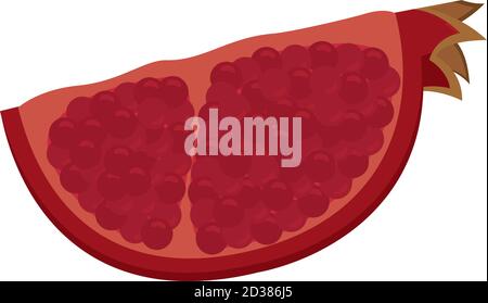 Isolated pomegranade rosh hashana jewish icon- Vector Stock Vector