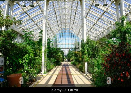 The Temperate House in the Royal Botanic Gardens, Kew, the largest of the famous Victorian glass greenhouses. Stock Photo