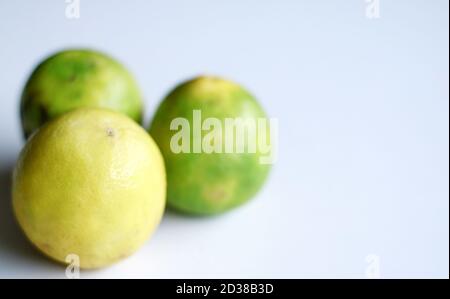 Lime (citrus fruit) on white background. Stock Photo