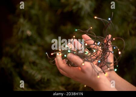 Christmas scene: hands of a young caucasian man holding a string of colored lights. In the background, a green tree out of focus. Stock Photo