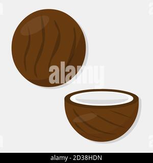 coconut vector illustration in flat style Stock Vector