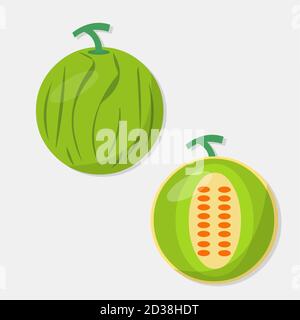 melon fruit vector illustration in flat style Stock Vector