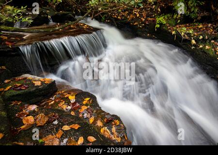 Cascade on Reece Place Falls - Headwaters State Forest, near Brevard, North Carolina, USA Stock Photo