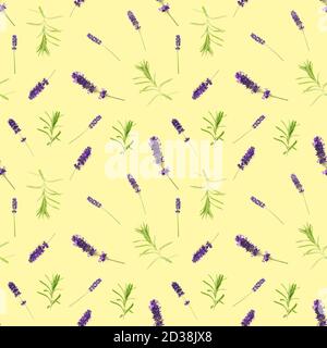 seamless pattern made from lavendel flowers isolated on yellow. fresh blossoms. floral pattern. Stock Photo