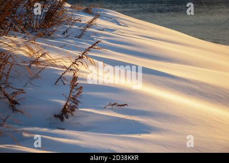 Plants peeking through snow covering Stock Photo