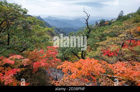 Fall foliage in Seorak Mountain, South Korea (Seoraksan) Stock Photo