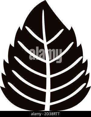 autum serrated leaf silhouette style icon vector illustration design Stock Vector