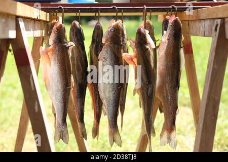 Closeup shot of the process of smoking fish Stock Photo