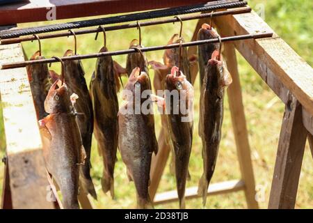 Closeup shot of the process of smoking fish Stock Photo