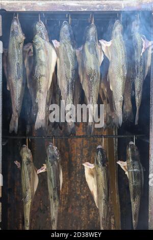 Closeup shot of the process of smoking fish Stock Photo