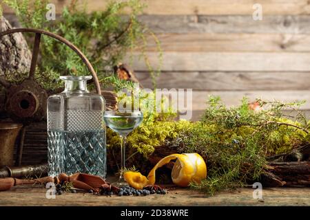 Gin in a small glass and lemon. Anise, coriander, and juniper berries are scattered on a wooden table. In the background branches of juniper, old tree Stock Photo