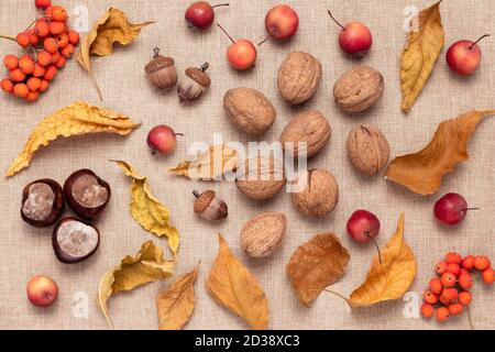 Walnut, rowan berries and small red apples on brown sackcloth, rustic still life, autumn harvest concept. Seasonal card, composition, flat lay. Octobe Stock Photo