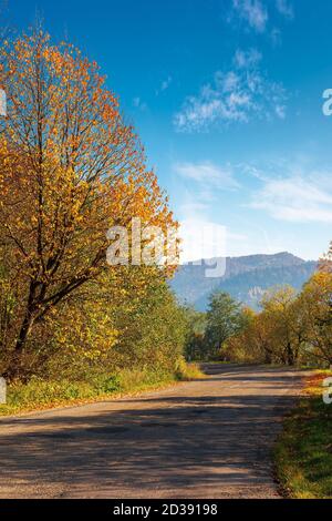 old asphalt road in mountains. beautiful autumn scenery on a sunny day. trees in colorful foliage. countryside journey on a weekend concept Stock Photo