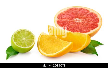 various citrus fruits isolated on whiote background Stock Photo