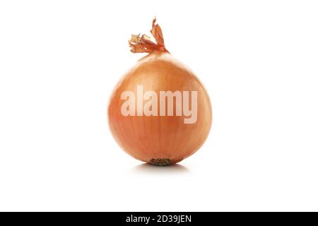 Raw fresh onion isolated on white background Stock Photo
