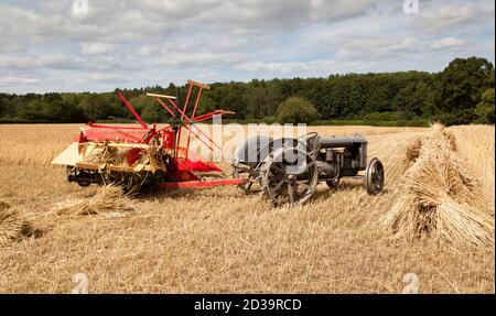 A Ferguson Brown vintage tractor towing a Massey Harris No. 6 binder Stock Photo