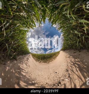 Inversion of blue tiny planet transformation of spherical panorama 360 degrees. Spherical abstract aerial view on corn field with awesome beautiful cl Stock Photo