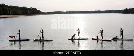 Leipzig, Germany. 20th Sep, 2020. At the end of the season, fitness trainer Monique Hunger (l) and members of the 'Team Fit-Mensch und Hund' Leipzig use the beautiful late summer weather for stand-up paddling with their dogs on Lake Moritz near Leipzig. In the outdoor gym, the standing paddling with the four-legged friends trains the deep muscles, stability and balance by the constantly required balancing and promotes the trust between man and dog. Credit: Waltraud Grubitzsch/dpa-zentralbild;/ZB/dpa/Alamy Live News Stock Photo
