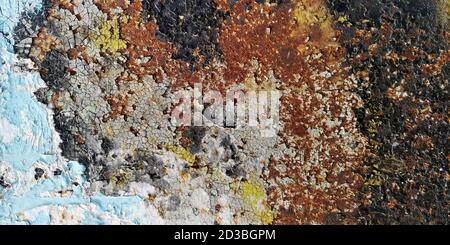 Plaster wall crack pattern sesame vintage red stain color Stock Photo