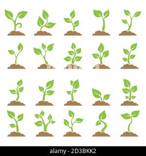 Set of planted seedlings in the ground. Icons. Vector illustration on white background Stock Vector
