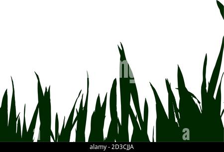 Vector graphic, single illustration Nature Stock Vector