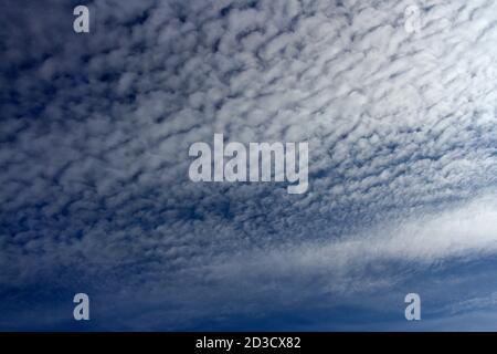 Altocumulus clouds form in the mid-levels of the troposphere and though each cloudlet is separate they can form extensive layers covering a large area Stock Photo