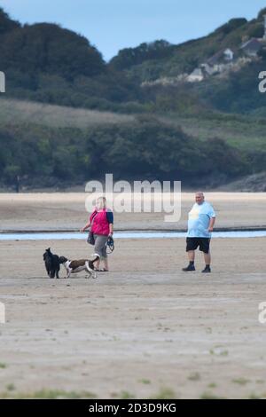 Dog walkers on a sandbank on the tidal Gannel River at low tide in Newquay in Cornwall. Stock Photo