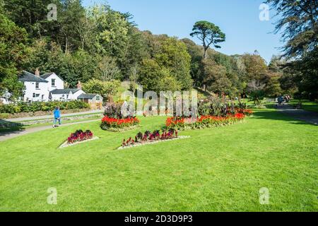 Decorative and colourful flower beds in the sub tropical Trenance Gardens in Newquay in Cornwall. Stock Photo